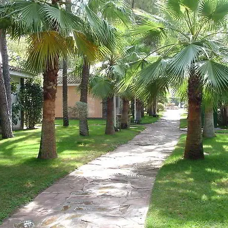 Oasis 4* Vallesa de Mandor